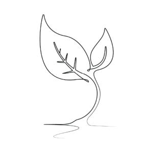 Outline of a leaf sprouting and growing.