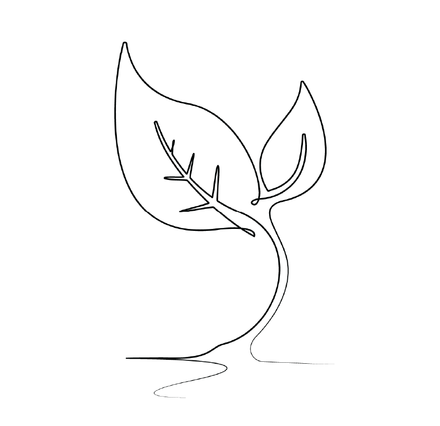 Outline of a leaf sprouting and growing.